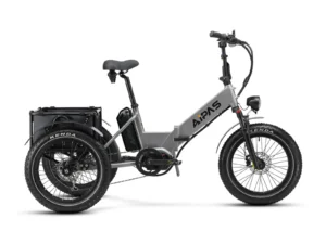 A8 Double Battery Electric Trike