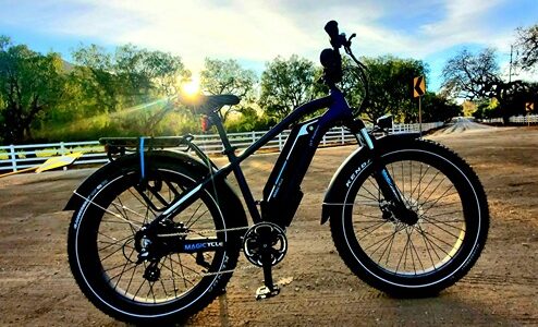 Cruiser Pro Step Over photo review