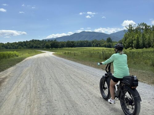 Horizon photo review