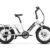 A6 Single Battery Cargo Ebike
