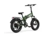Buddy Pro 20