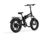 Buddy Pro 20