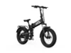 Buddy Pro 20