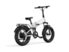 Buddy Pro 20