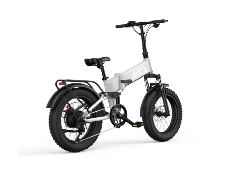 Buddy Pro 20