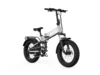 Buddy Pro 20