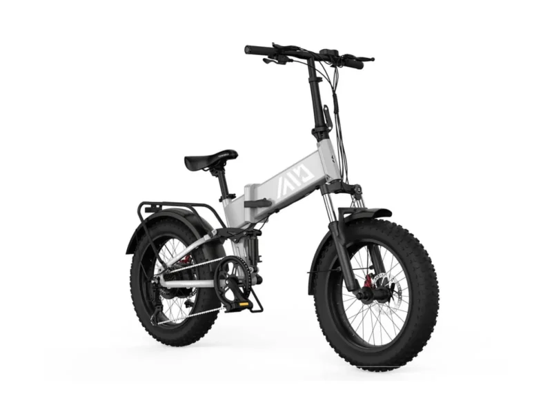 Buddy Pro 20