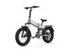 Buddy Pro 20
