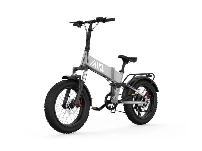 Buddy Pro 20