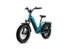 Magicycle 20_ Deer Stepebike
