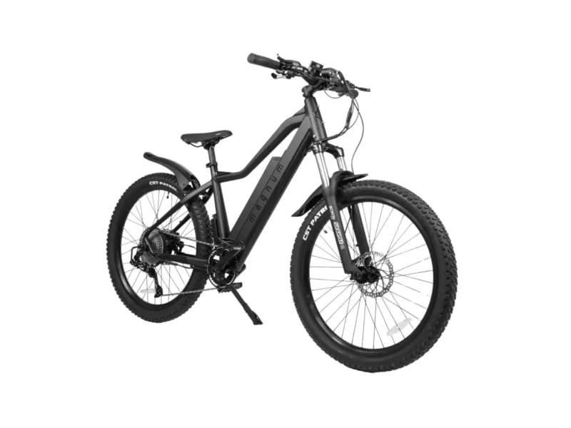 Peak T5ebike