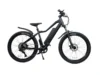 Peak T5ebike