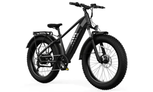 Local Electric Bikes