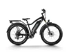 Himiway D3 (Cruiser)