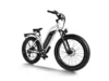 Himiway D3 ST (Cruisebike ST)