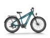 Himiway D5 Plus (Rhino) _ Dual Battery Off-road Electric Bikeebike