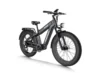 Himiway D5 Plus (Rhino) _ Dual Battery Off-road Electric Bikeebike
