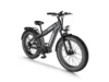 Himiway D5 Plus (Rhino) _ Dual Battery Off-road Electric Bikeebike
