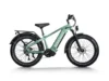 Himiway D5 Proebike