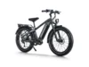 Himiway D5 Proebike