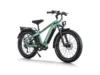 Himiway D5 Proebike