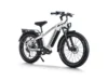 Himiway D5 Proebike