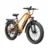 Aipas®M2 Xterrain Ebike