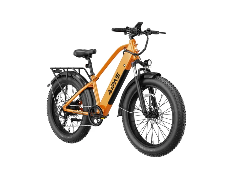 Aipas®M2 Xterrain Ebike