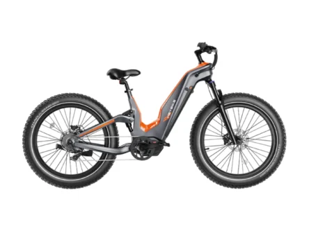 best step-thru ebikes near me