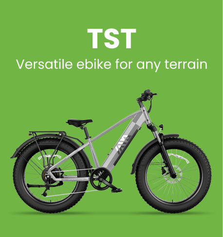 TST-Ebike