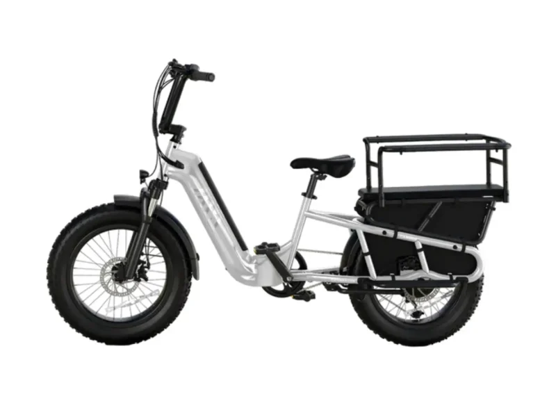 Carrier 20'' Cargo Electric Bike