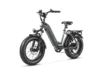 Ocelot Pro 2.0 (2024 Upgraded)