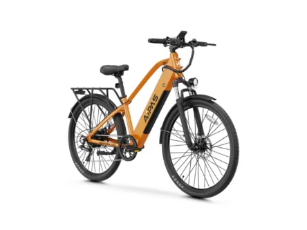 affordable mountain e-bikes for 2025