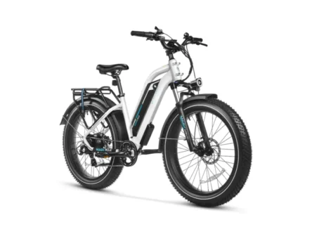 ebikes michigan