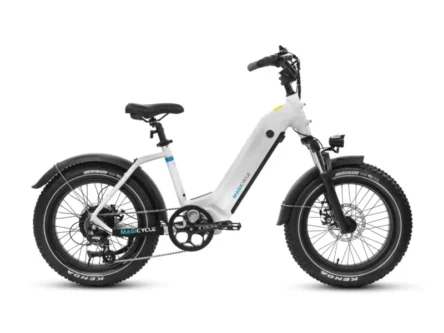ebikes for sale in michigan