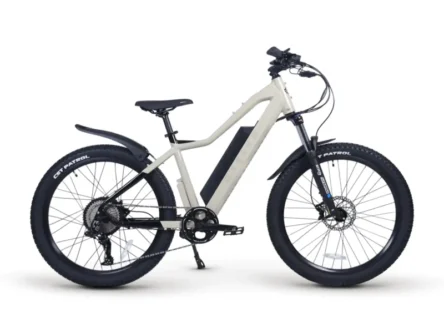 top electric bikes 2025