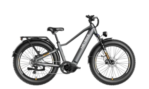 Shelby Township eBikes