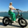 Cycanon Electric Bike