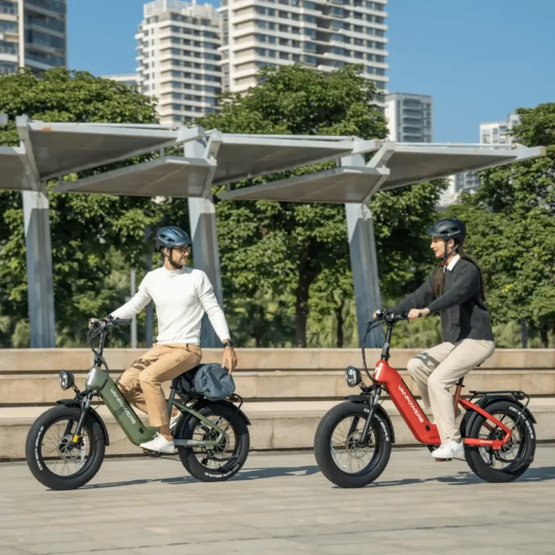 Cycanon Electric Bike