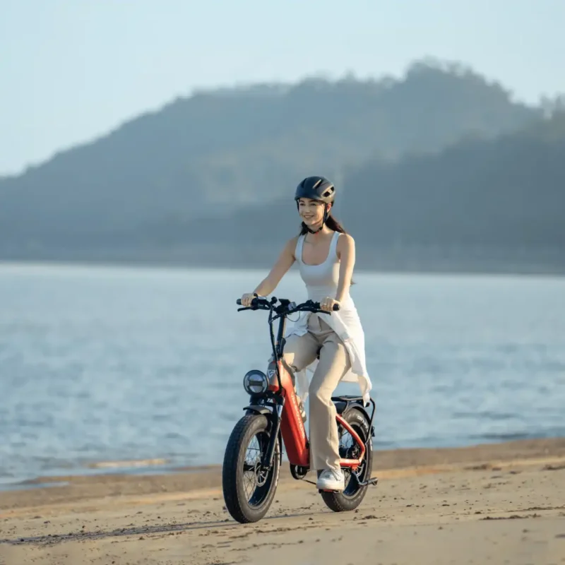 Cycanon Electric Bike