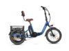Citytri E-310 Plus Folding eTrike