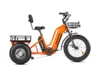 Greattan D Cargo eTrike