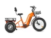 Greattan D Cargo eTrike