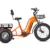 Greattan D Cargo eTrike