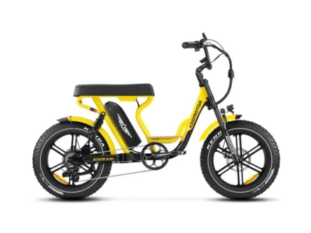 Powerful Electric Bike