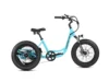 Landtan Fat Tire eTrike