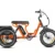 Soletri II M-366X Full-Suspension eTrike