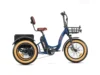 Triketan II M-330 eTrike - Best Seller Electric Tricycle
