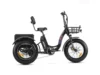 Triketan II M-330 eTrike - Best Seller Electric Tricycle