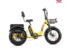 Triketan II M-330 eTrike - Best Seller Electric Tricycle